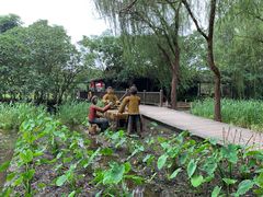 -溱湖国家湿地公园