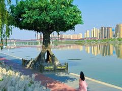 -咸阳湖景区