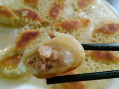 -周家大连水饺(美专校街店)