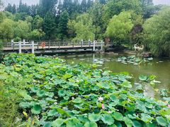 -梅林春晓花园餐厅