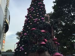 -新加坡瑞士史丹福酒店