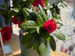 -渔家灯火(领秀城店)