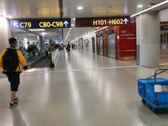 -上海浦东国际机场-T2航站楼