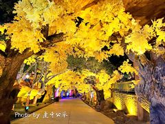 -横店影视城梦幻谷园区