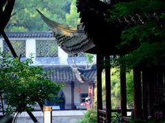 -上海醉白池公园