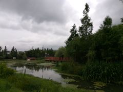 -才村湿地公园