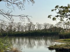 -大湾区中央湿地公园