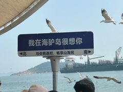 -海驴岛(荣成市)