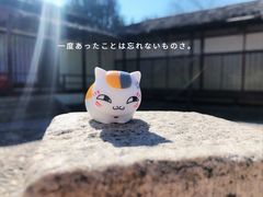-北京世界公园