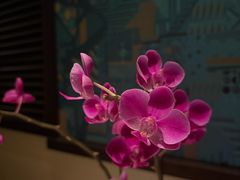 -金链花·泰国餐厅(国贸店)