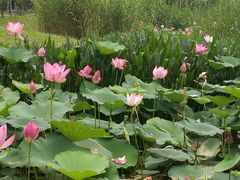 -中国银行江苏省分行培训中心