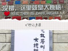 -大槐树寻根祭祖园