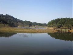-千岛湖龙川湾