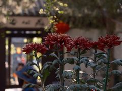 -惠山古镇·寄畅园