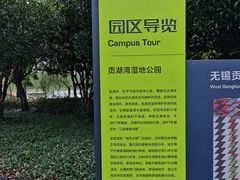 -贡湖湾湿地公园