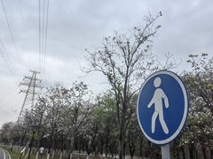 -广东花都湖国家湿地公园