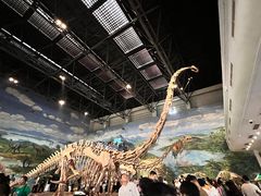 -自贡恐龙博物馆