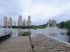 -前关湿地公园