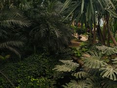 -石家庄市植物园