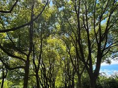 -天鹅湖体育公园