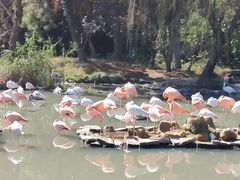 -宁波野生动物园