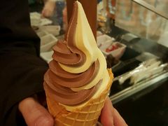 双色甜筒冰淇淋-IL paperino帕帕里诺冰激凌
