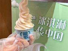 -龍歌自助小火锅(市南金茂湾店)