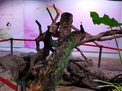 -正佳雨林生态植物园