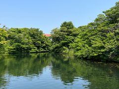 -济州森林小火车生态公园