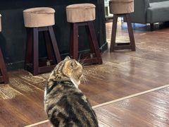 -参差咖啡(水果湖公园店)