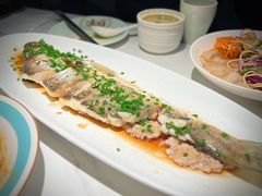 -船歌·鱼水饺青岛菜(恒隆广场店)