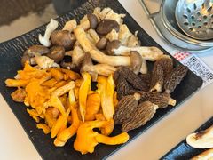 -蘑统田下·野生菌火锅