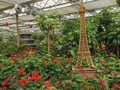 -南宫五洲植物乐园