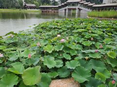 -西海子公园