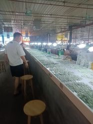 点击看大图 -天光墟市场