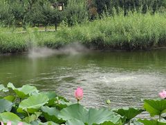 -西海子公园