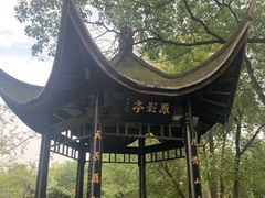 -东湖落雁景区