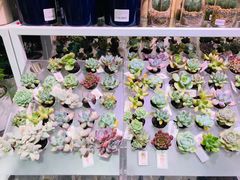 -KKV(深圳宏发大仟里店)