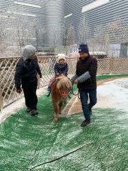 -萌宠亲子动物乐园(槐房万达店)