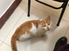 -孙家羊肉馆(庄良公路店)