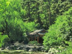 -香山公园