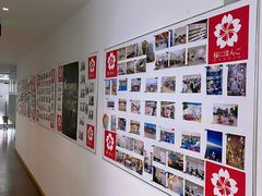 -樱花国际日语(徐家汇中心)