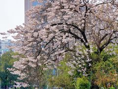 -红星桥(地铁站)