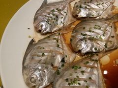 -阳光家常菜游客餐厅(千佛山店)