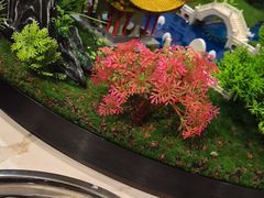 -大汗行宫园林餐厅