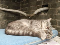 -老屋咖啡