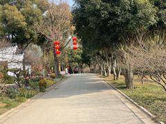 -无锡梅园公园