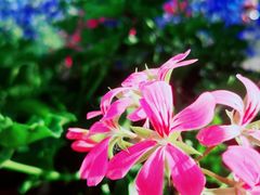 -萤火虫咖啡(后海店)