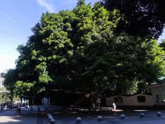 -晓港公园