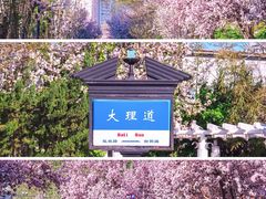 -睦南公园